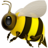 Install Bees